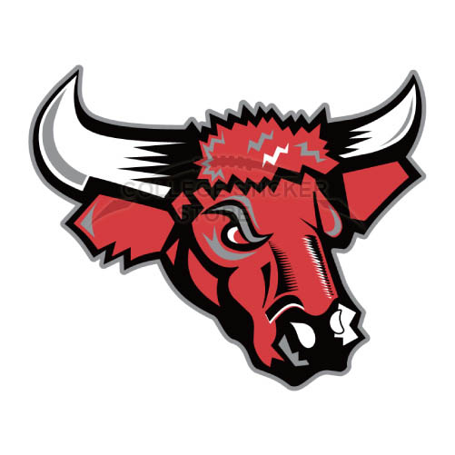 Personal Nebraska Omaha Mavericks Iron-on Transfers (Wall Stickers)NO.5398